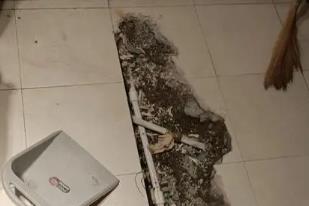 焦作市卫生间漏水检测电话